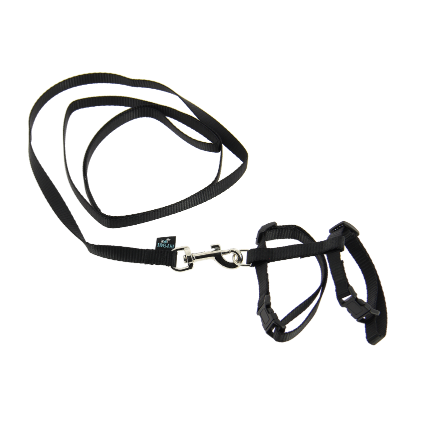 Harnais noir avec laisse 1,2 m