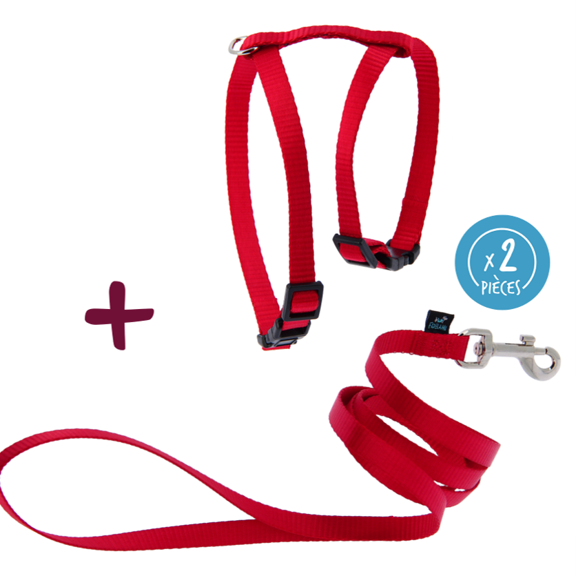 Harnais framboise avec laisse 1,2 m