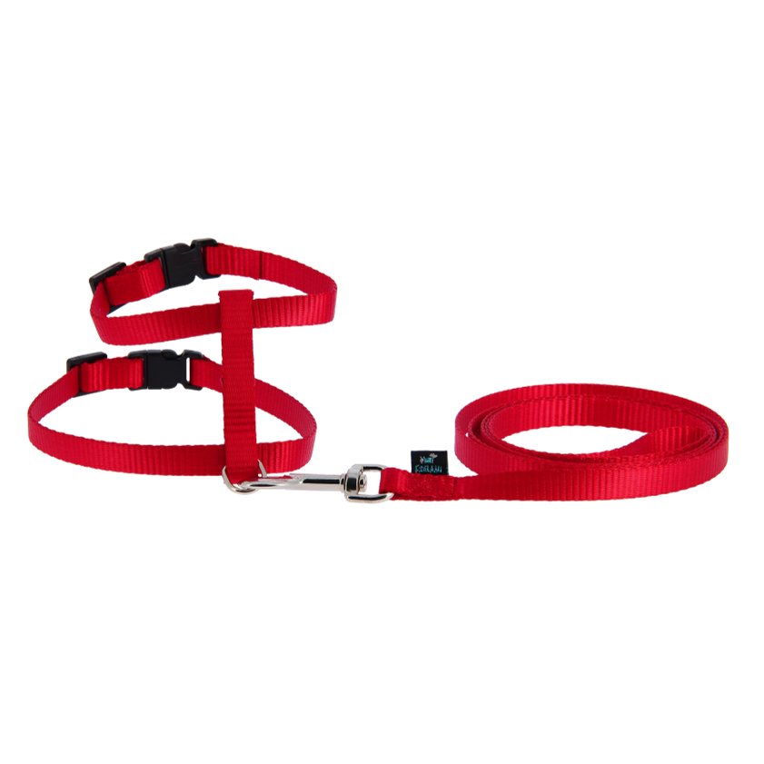 Harnais framboise avec laisse 1,2 m