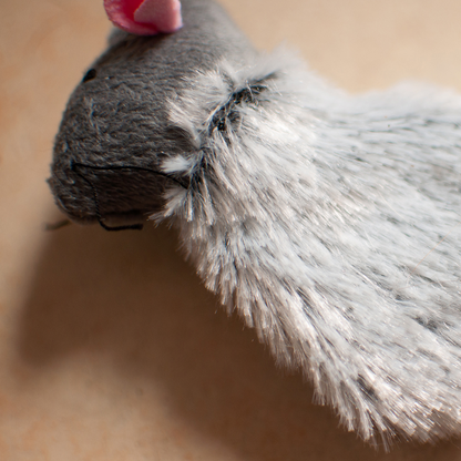 Souris douce