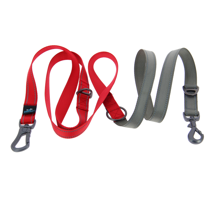 Laisse 3 points grise & rouge 2,4 m