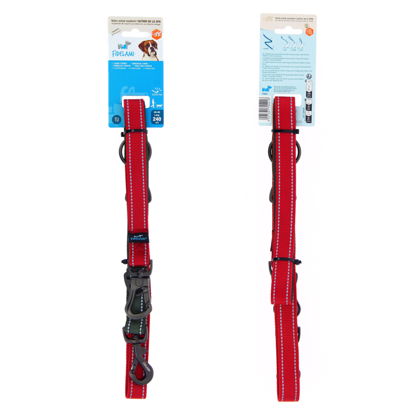 Laisse 3 points grise & rouge 2,4 m