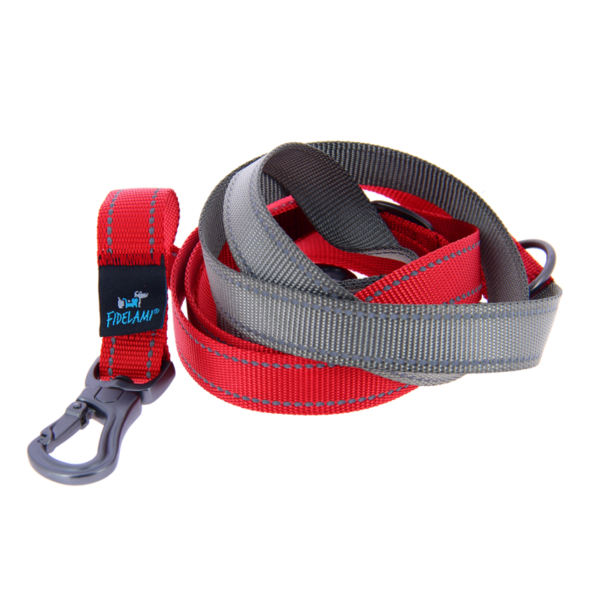 Laisse 3 points grise & rouge 2,4 m