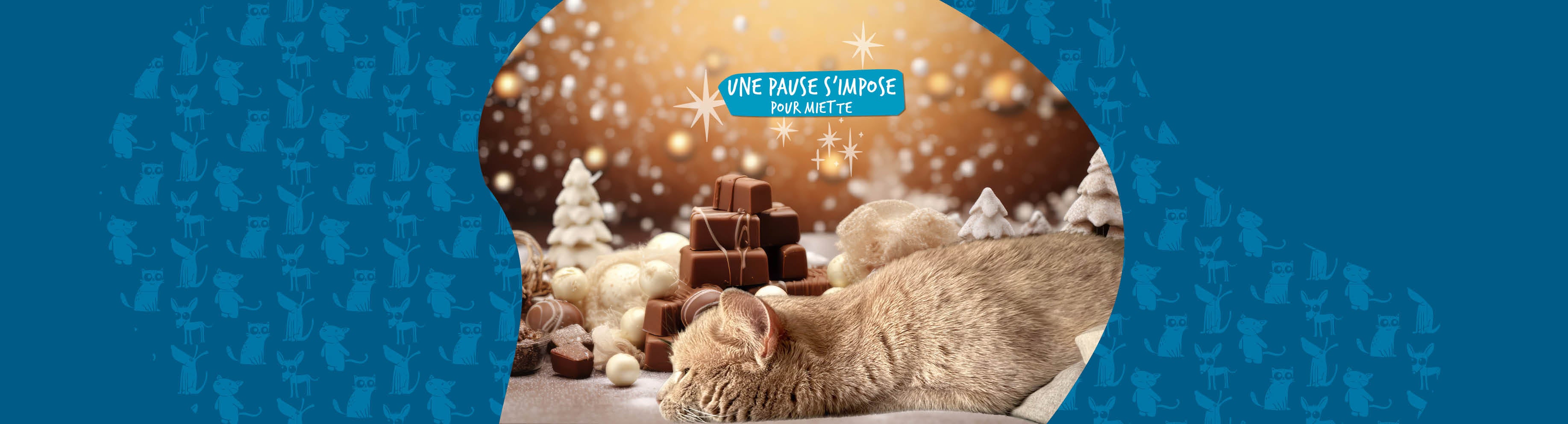 Miette fatiguée des préparatifs de Noël