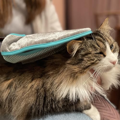 Chat caressé avec le gant de toilettage Fidelami. Gant de toilettage Fidelami 2 en 1 : une face pour laver son chien ou son chat, toiletter son animal, picots en caoutchouc avec effet massant, élimine les poils morts, une face pour nettoyer les textiles et retirer les poils