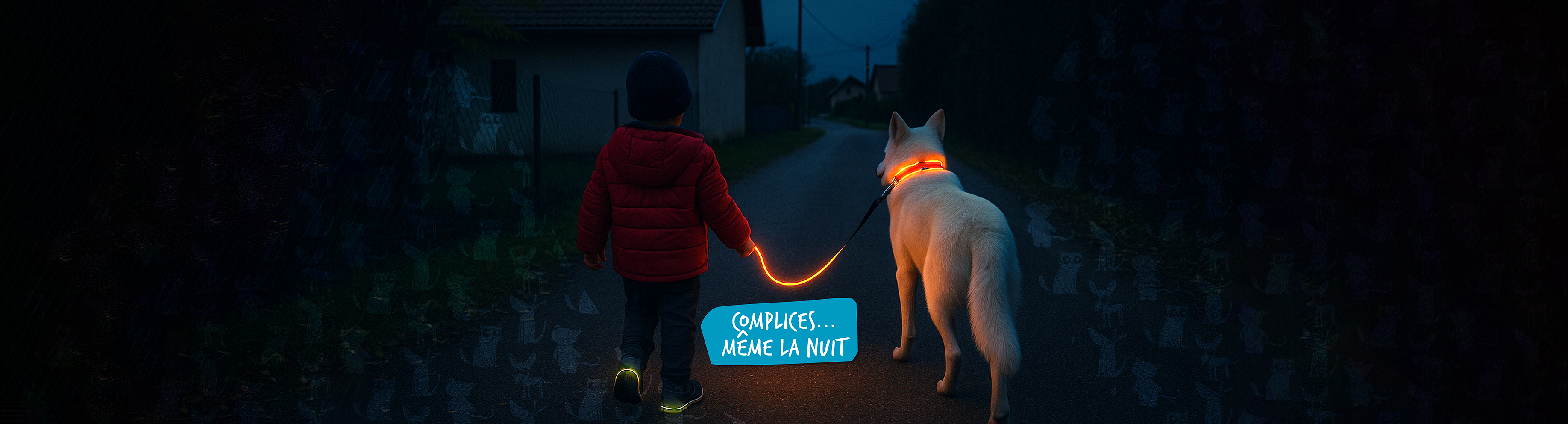 Bandeau d'accueil présentant un petit garçon tenant en laisse son Berger blanc suisse Singha. La nuit est tombée, la laisse et le collier sont allumés.