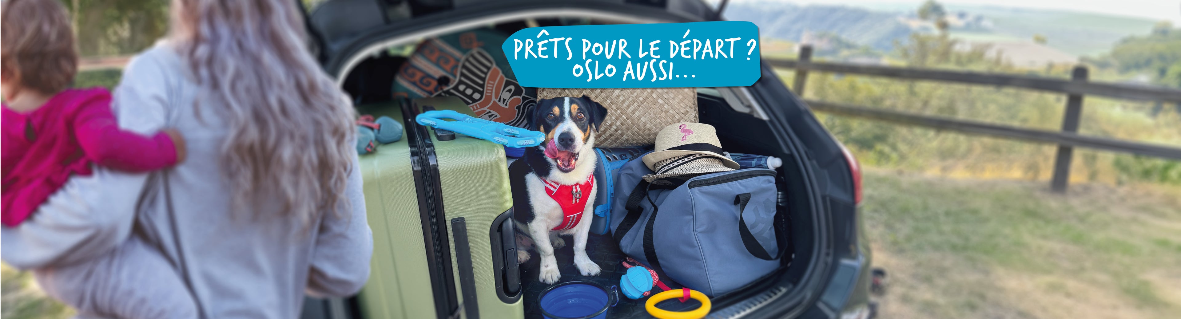 Oslo heureux prêt pour partir en vacances. Dans la voiture au milieu des bagages, de ses jeux. Sa maitresse arrive. Il sait que le moment du départ est imminent.