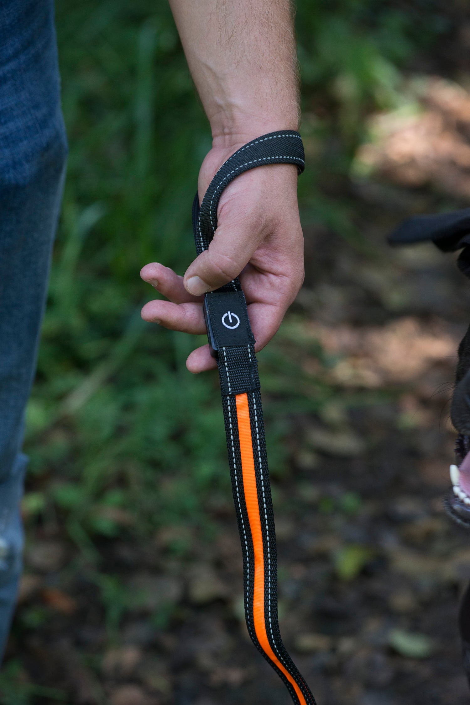 Zoom sur la poignée de la laisse lumineuse. bouton ON OFF pour déclencher la luminosité.